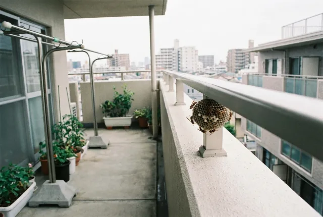 名古屋市中区 マンションのベランダ手すりのアシナガ巣を駆除